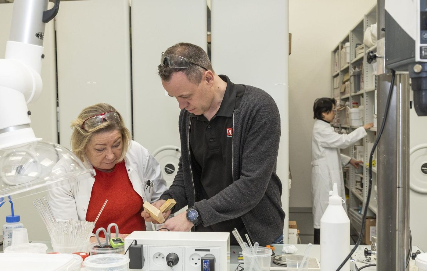 Dana Lim technical specialists testing adhesives in the lab