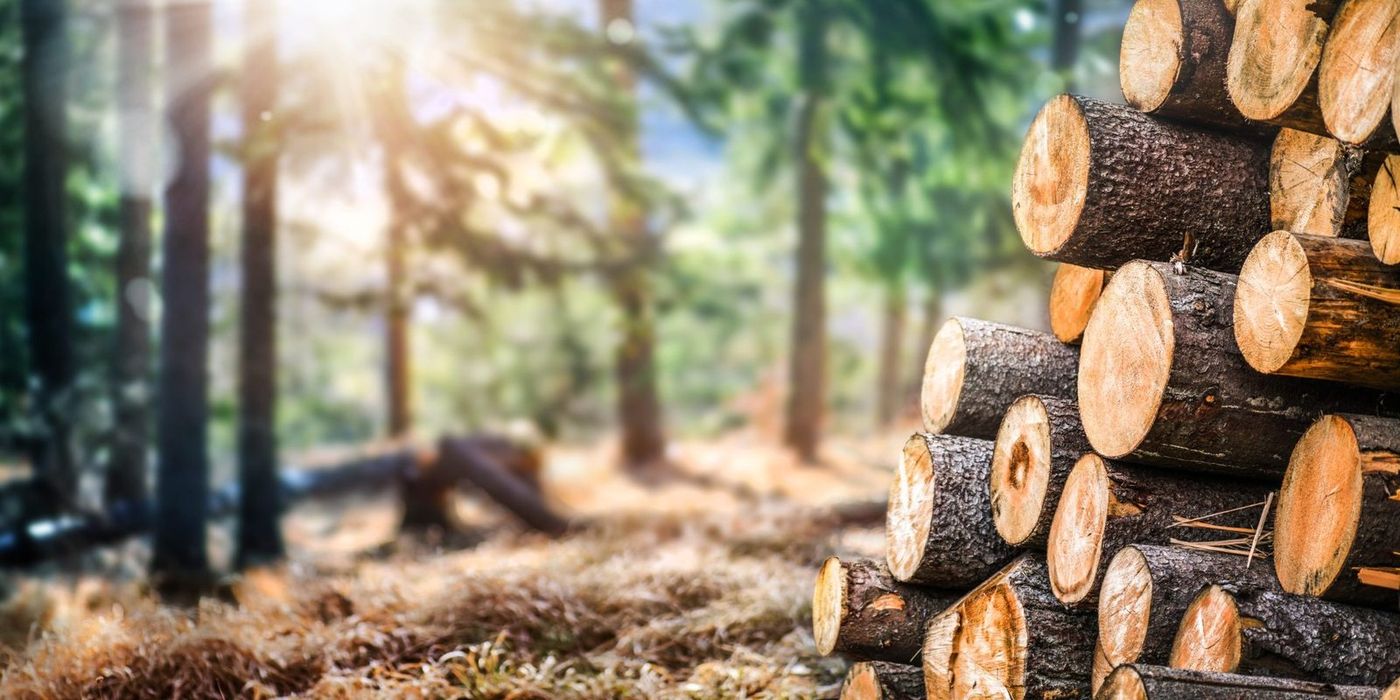 Stacked timber, responsibly sourced raw materials